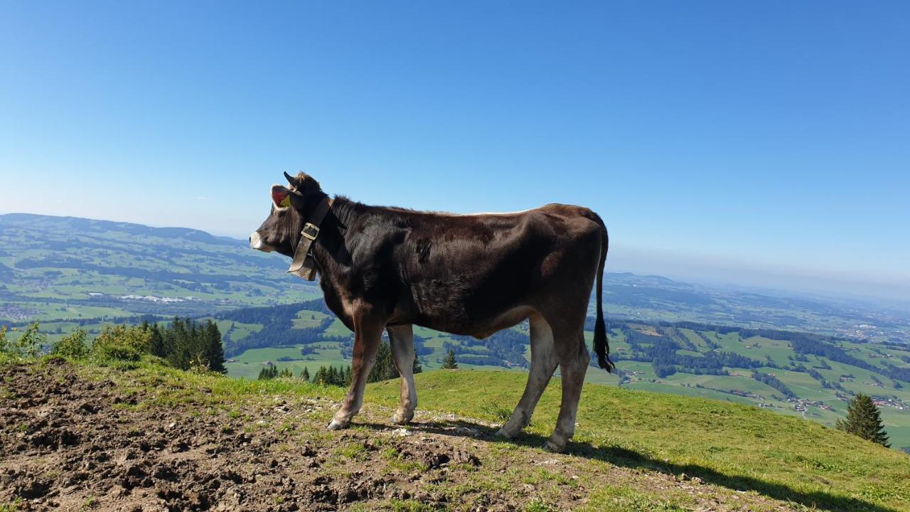 Allgaeu Bergluft Weitnau Kültér fotó