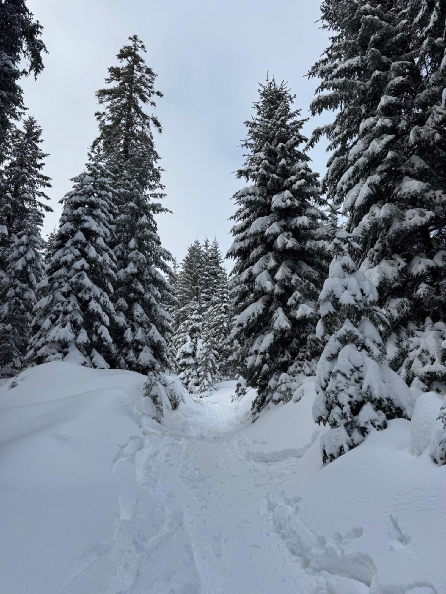 Allgaeu Bergluft Weitnau Kültér fotó
