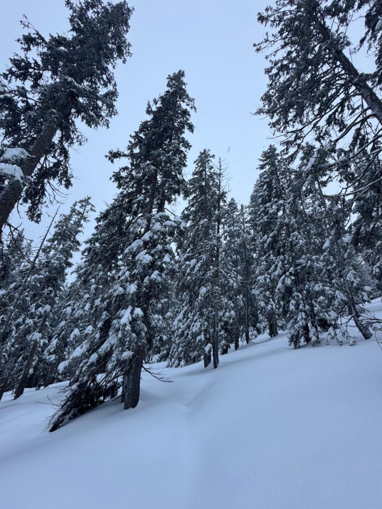 Allgaeu Bergluft Weitnau Kültér fotó