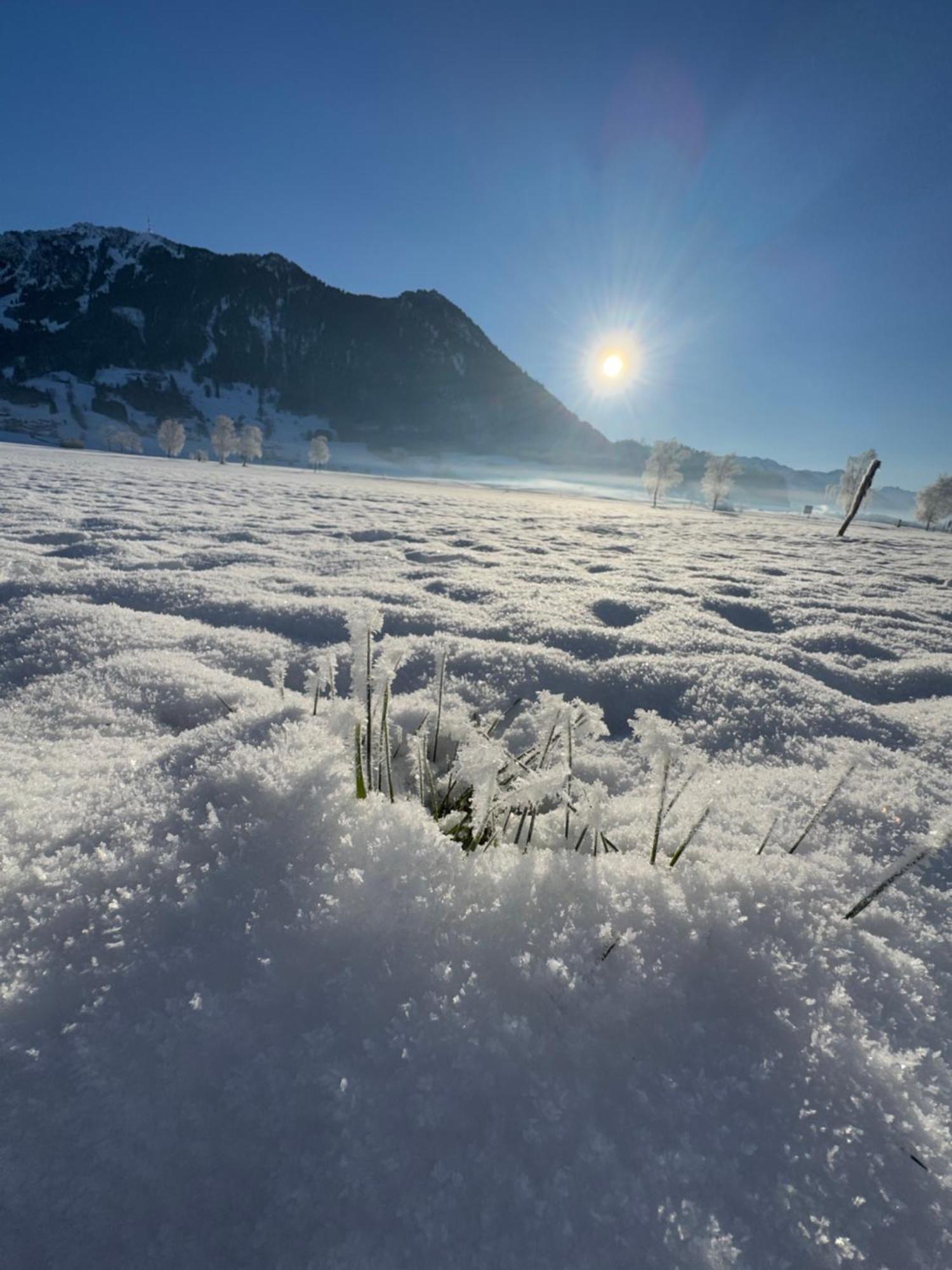 Allgaeu Bergluft Weitnau Kültér fotó