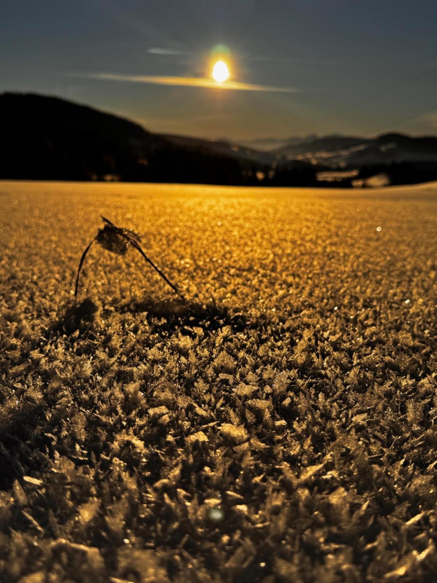 Allgaeu Bergluft Weitnau Kültér fotó
