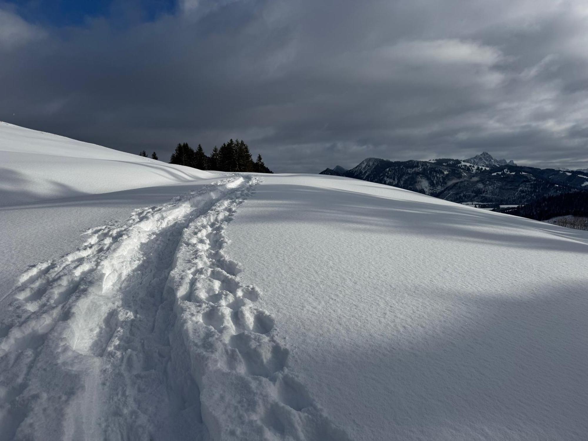 Allgaeu Bergluft Weitnau Kültér fotó