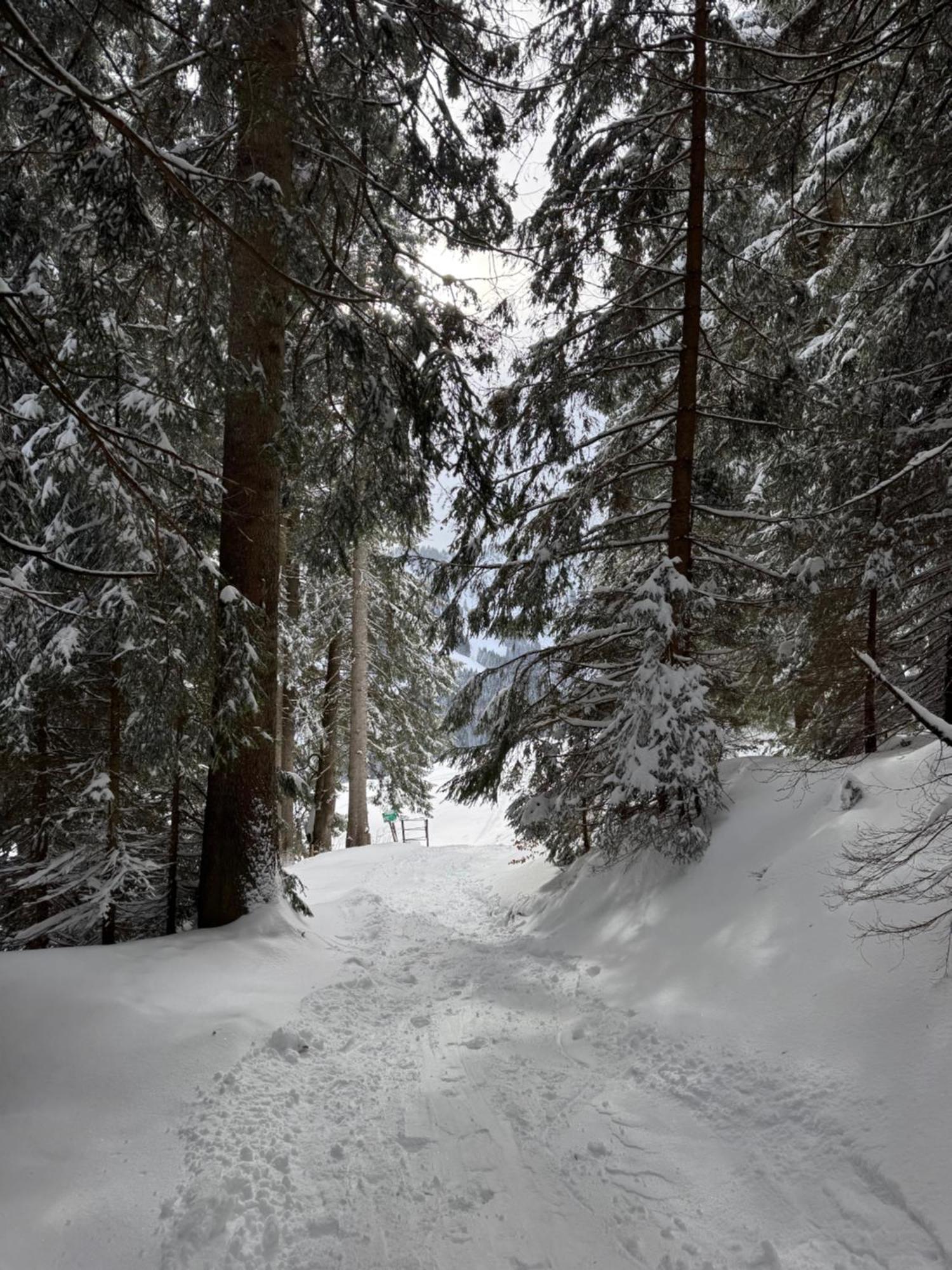Allgaeu Bergluft Weitnau Kültér fotó