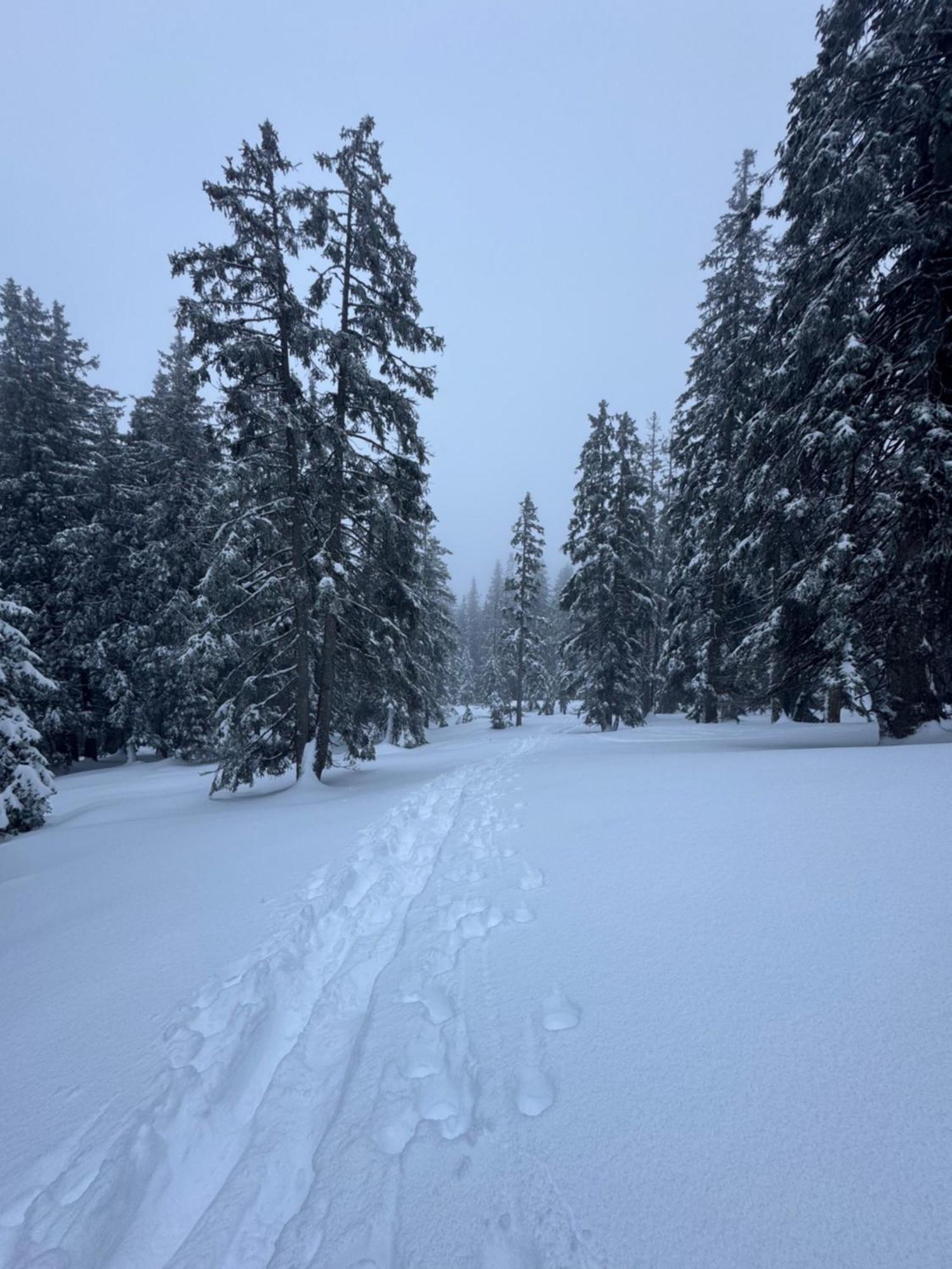 Allgaeu Bergluft Weitnau Kültér fotó