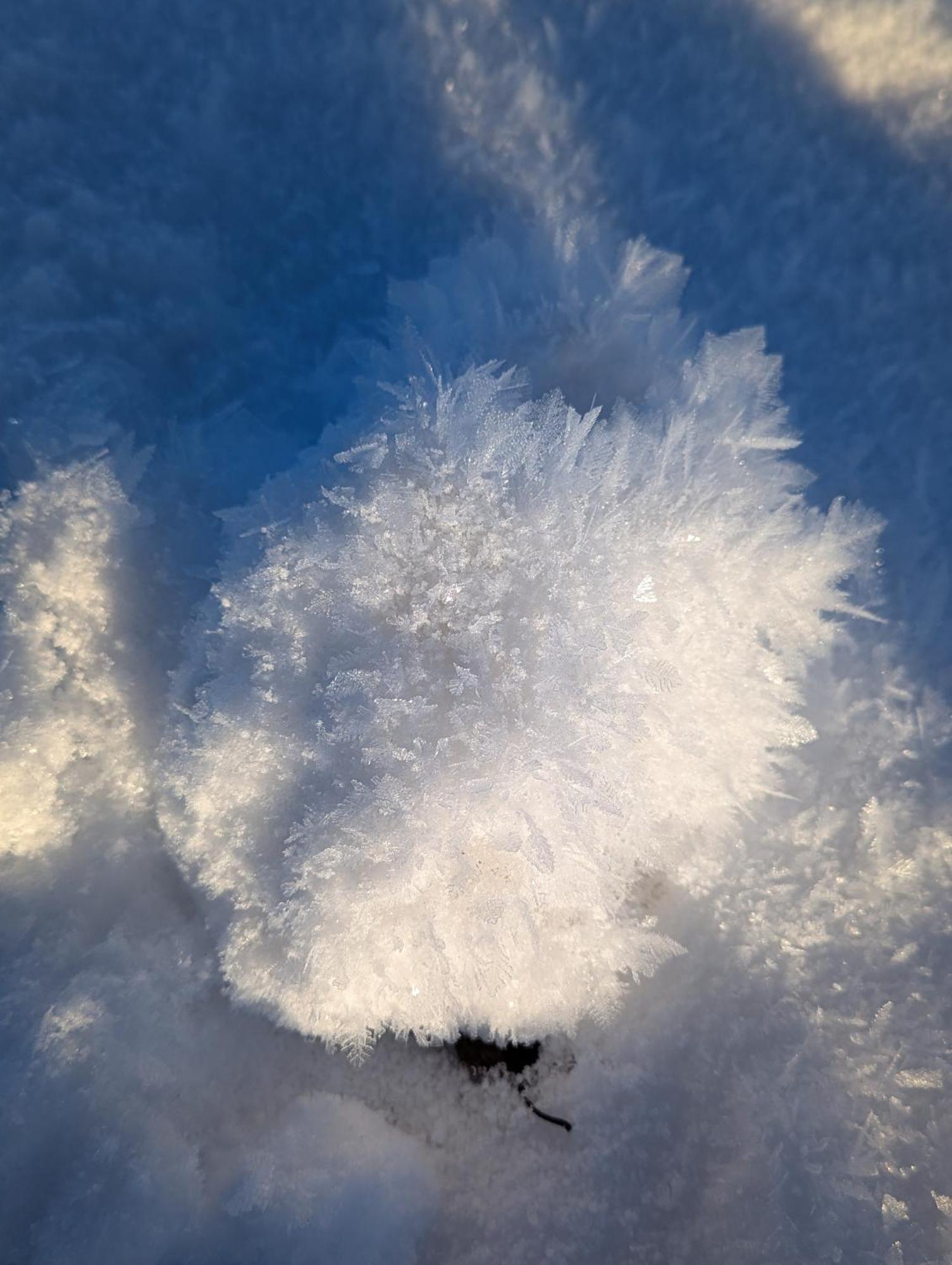 Allgaeu Bergluft Weitnau Kültér fotó